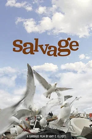 Постер: Salvage