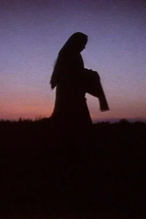 Постер: Women in the Shadows