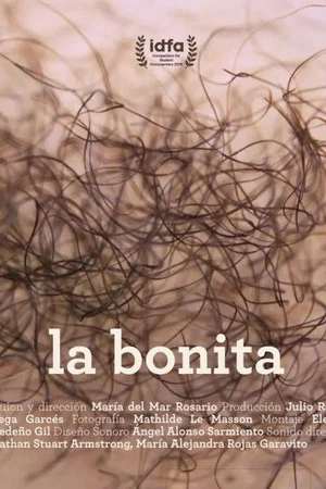 Постер: La bonita
