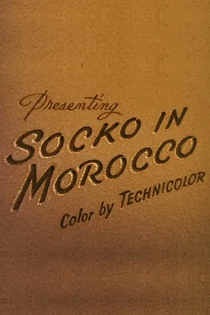 Постер: Socko in Morocco