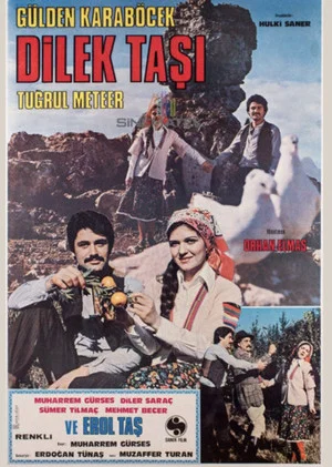 Постер: Dilek Taşı