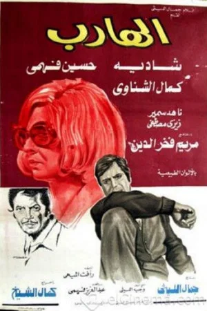 Постер: The Fugitive