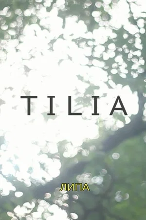Постер: Tilia