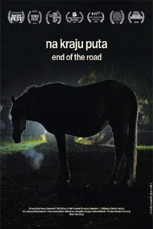 Постер: End of the Road