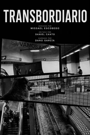 Постер: Transbordiario