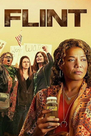 Постер: Flint