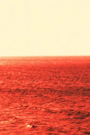 Постер: The Fire of Antifer (Materials for a Film in Progress)