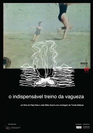 Постер: The Indispensable Practice of Vagueness