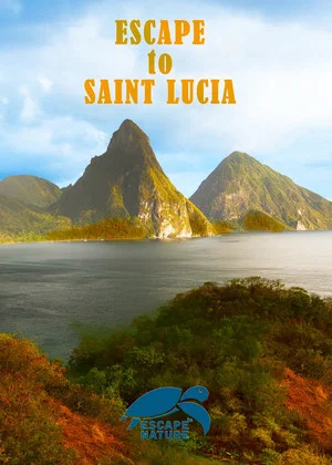 Постер: Escape to Saint Lucia