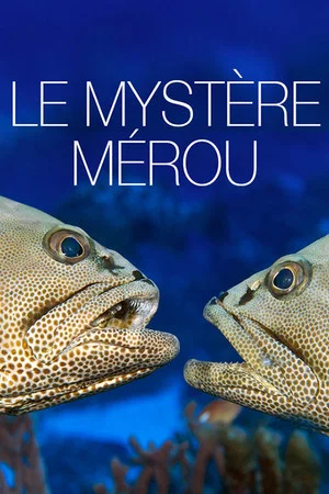 Постер: The Grouper Mystery