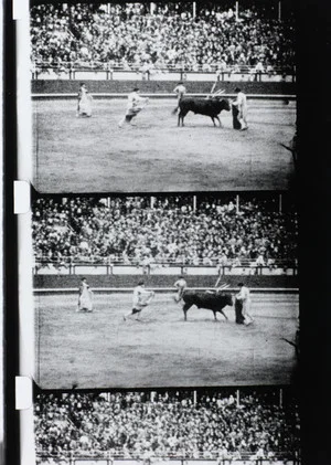 Постер: Corrida