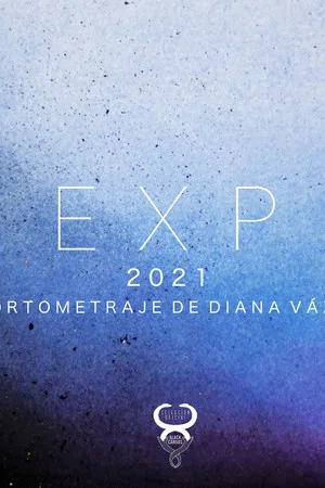 Постер: EXP