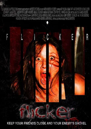 Постер: Flicker