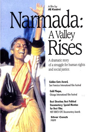 Постер: Narmada: A Valley Rises
