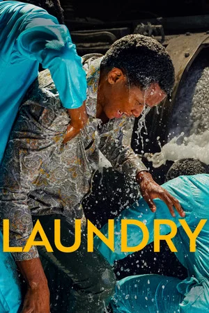 Постер: Laundry