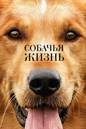 Постер: Собачья жизнь