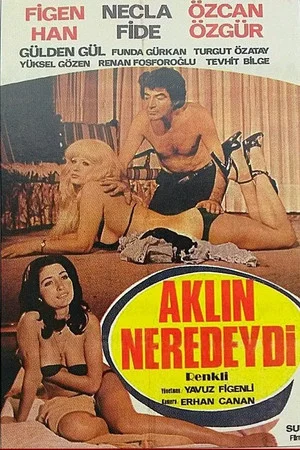 Постер: Aklın Neredeydi