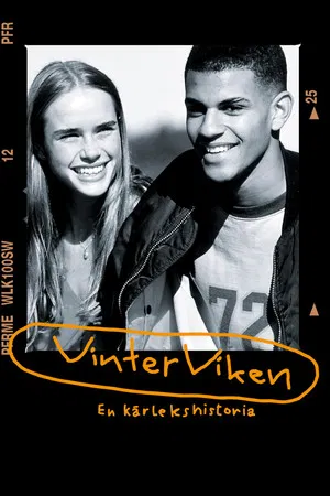 Постер: Vinterviken