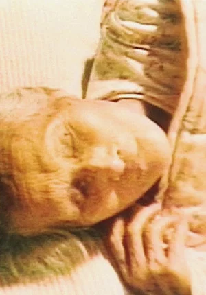 Постер: The Sleeping Flower