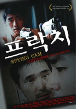 Постер: Spying Cam