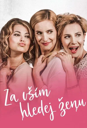 Постер: Za vším hledej ženu