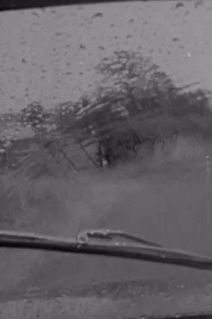 Постер: Wiper