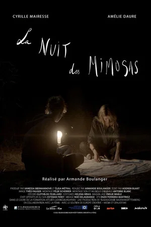 Постер: La nuit des mimosas
