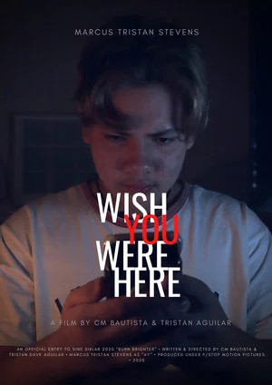 Постер: Wish You Were Here