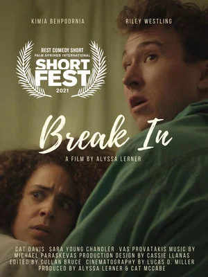 Постер: Break In