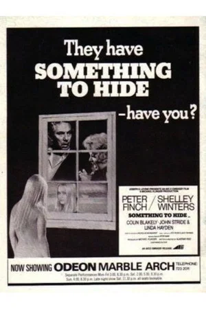 Постер: Something to Hide