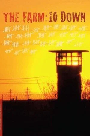 Постер: The Farm: 10 Down