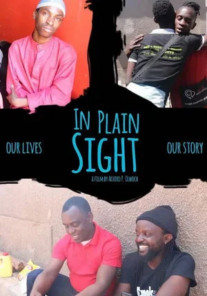 Постер: In Plain Sight