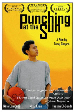 Постер: Punching at the Sun