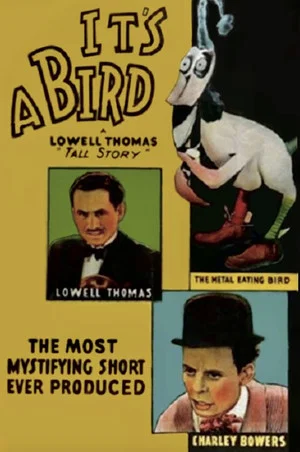 Постер: It's a Bird