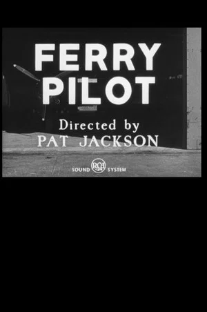 Постер: Ferry Pilot