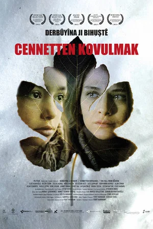 Постер: The Fall from Heaven