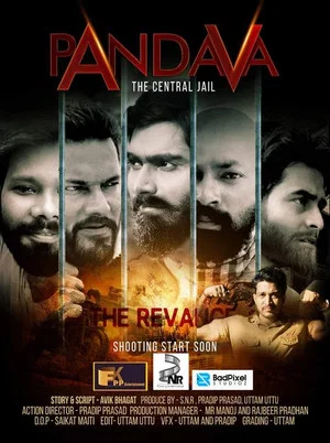 Постер: Pandava : The Central Jail