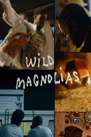 Постер: Wild Magnolias