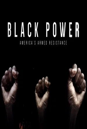 Постер: Black Power: America's Armed Resistance