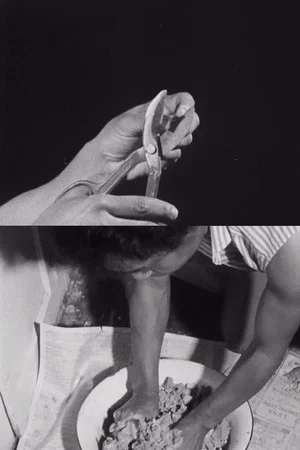 Постер: Hands of Inge