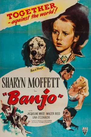 Постер: Banjo