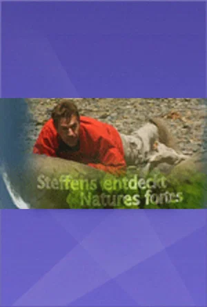 Постер: Steffens entdeckt: 1 сезон