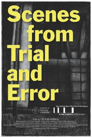 Постер: Scenes from Trial and Error