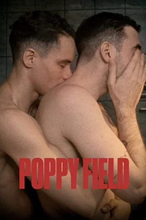 Постер: Poppy Field
