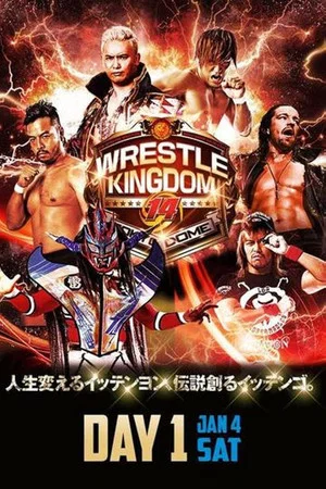 Постер: NJPW Wrestle Kingdom 14: Night 1