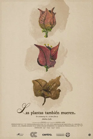 Постер: Las plantas también mueren