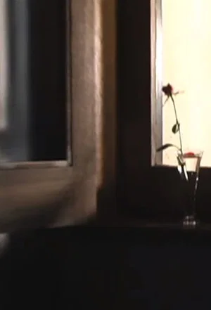 Постер: Rosecolored Flower