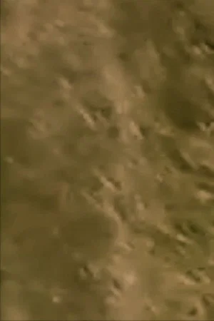 Постер: Phantom Wind