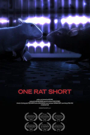 Постер: One Rat Short