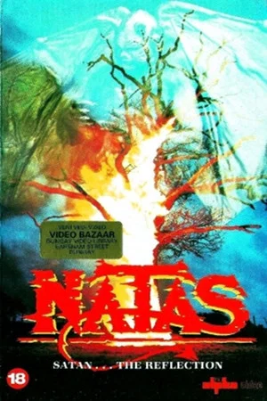 Постер: Natas: The Reflection
